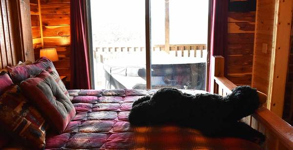 110 Bear Den Photo 4